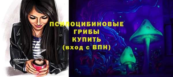 соль ск Кодинск