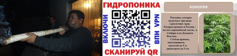 дарнет шоп  Котово  Бошки марихуана семена 